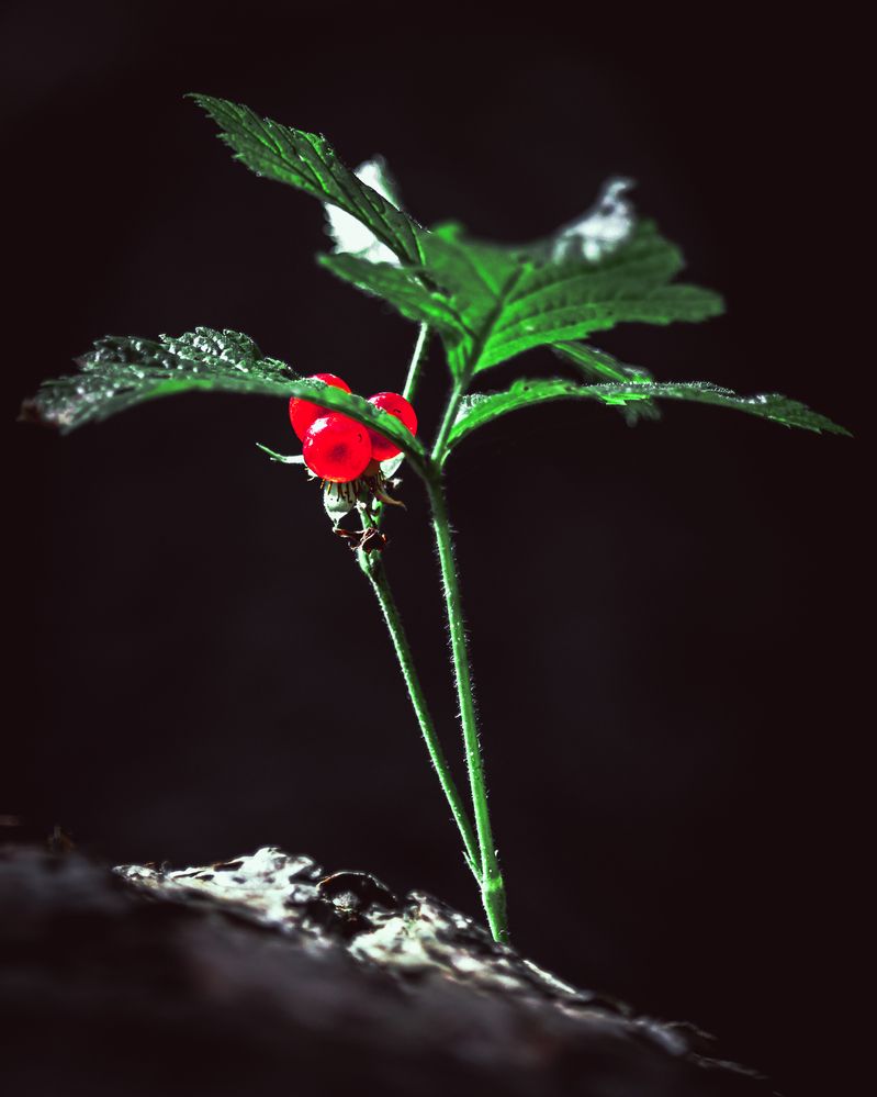 Photograph by Сергей Зайцев