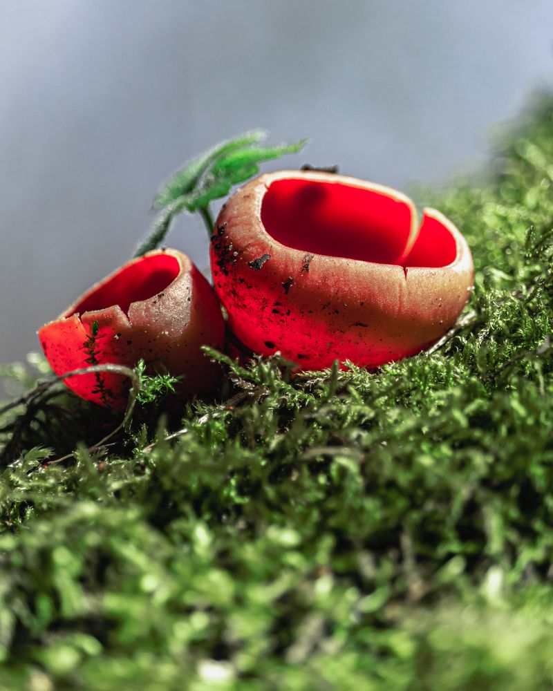 Photograph by Сергей Зайцев