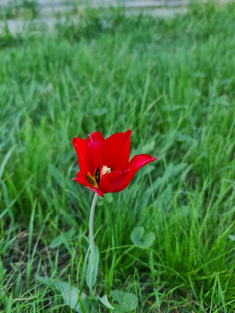 Photograph by Вадим Богатиков