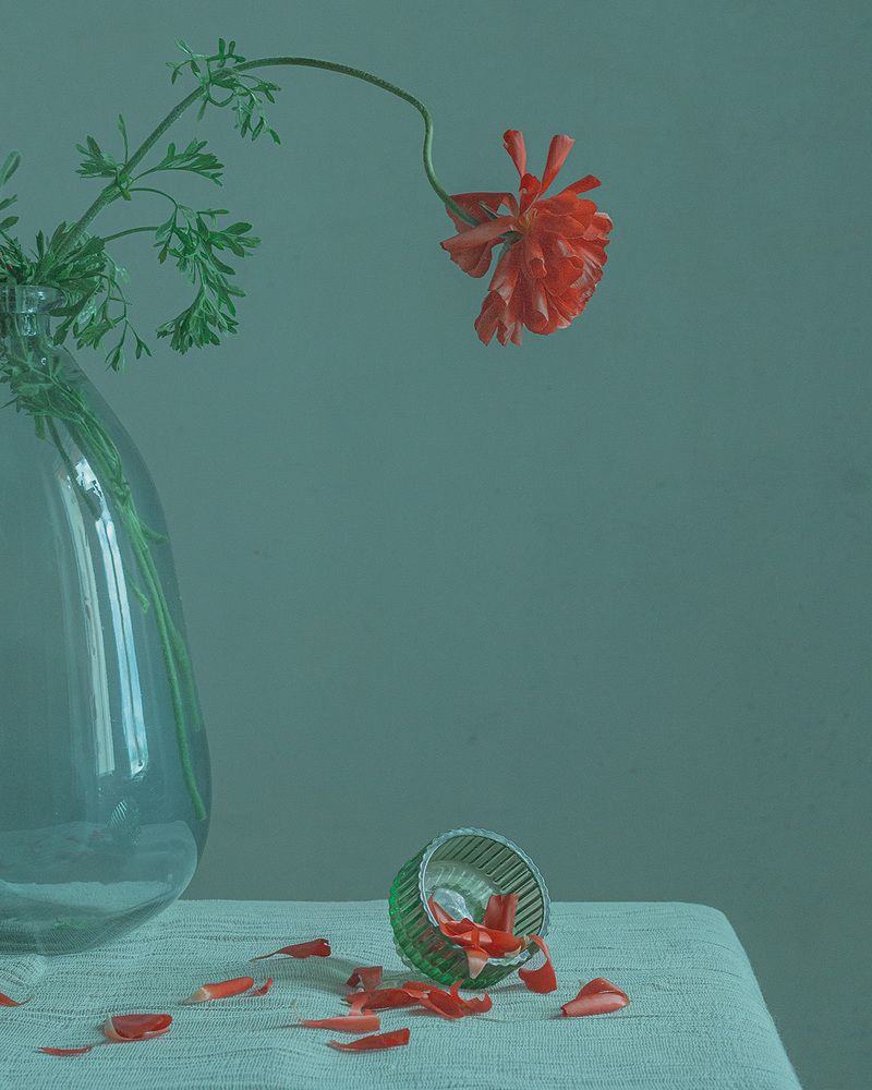 Photograph by Alexandra Sergeeva