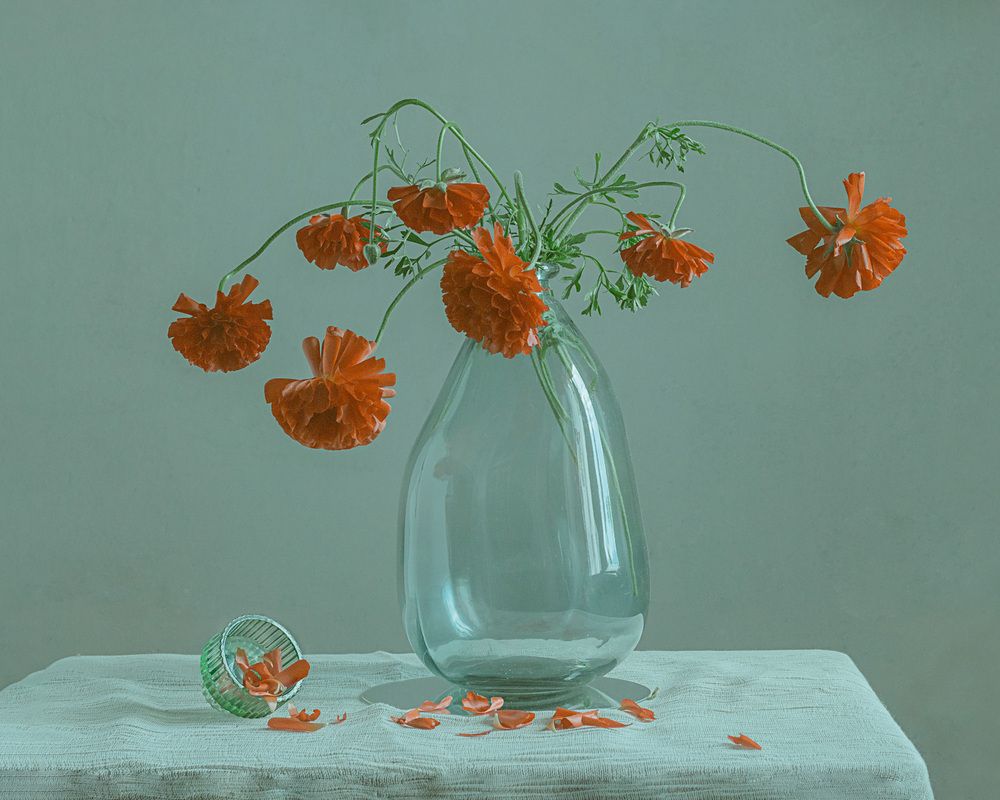 Photograph by Alexandra Sergeeva