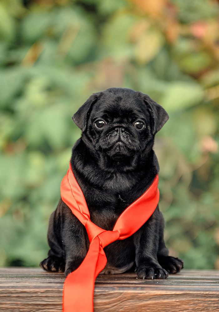 Photograph by Милана Бабченко