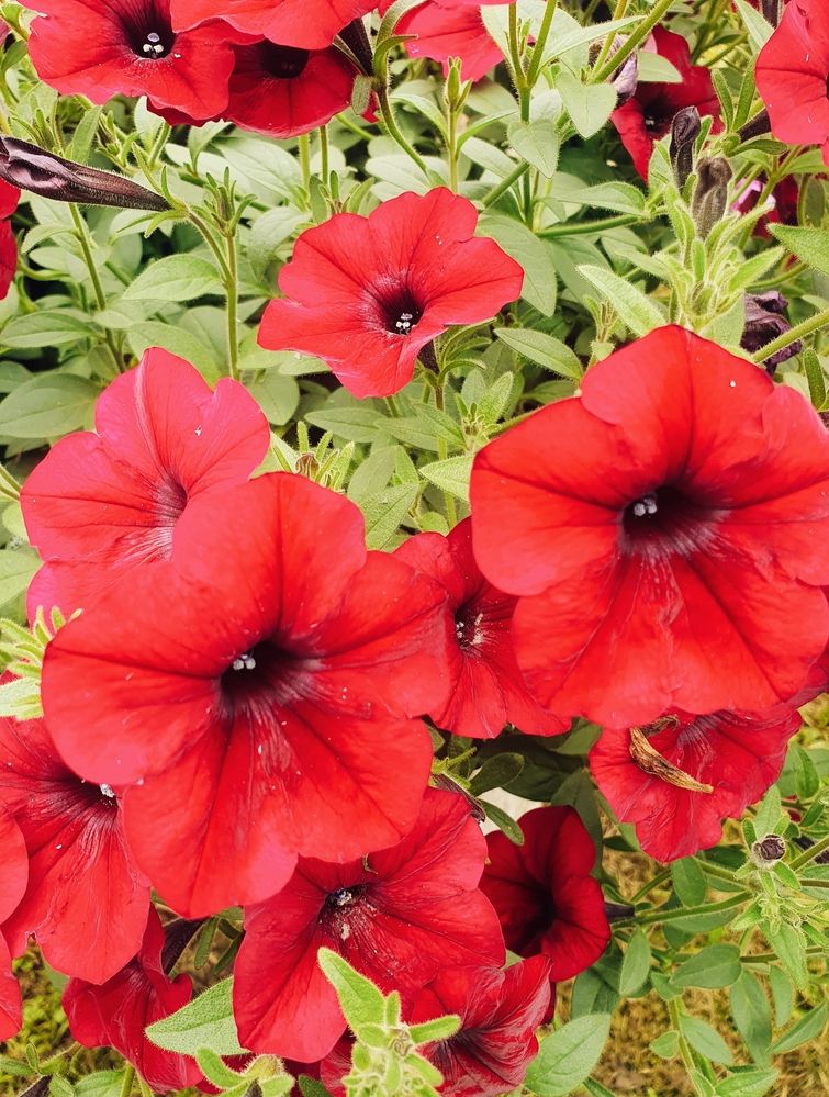 Фотография автора Vadim