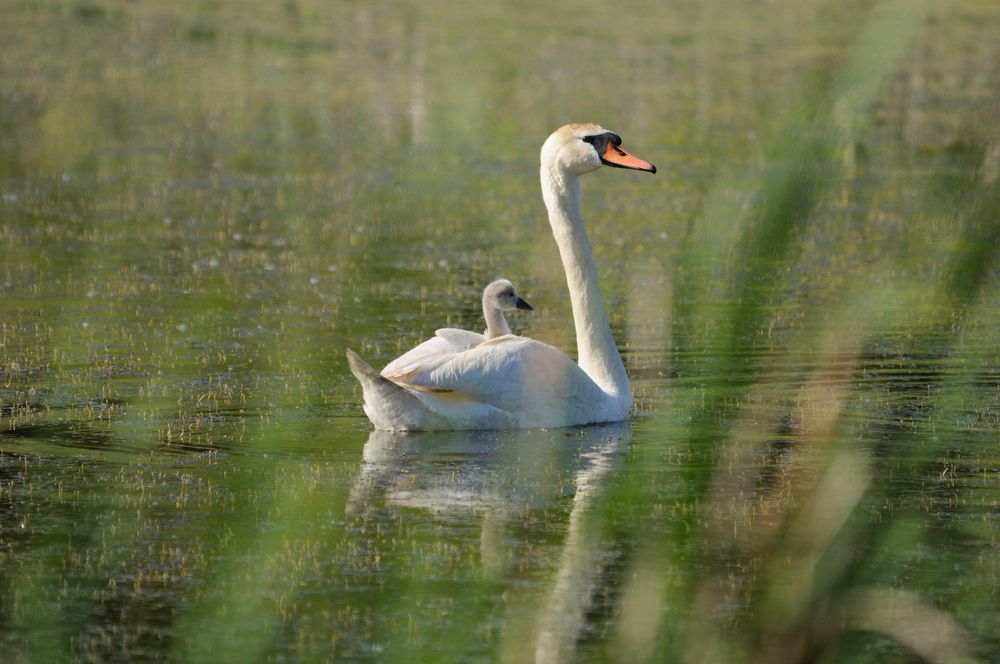 Photograph by Олег Юмашев