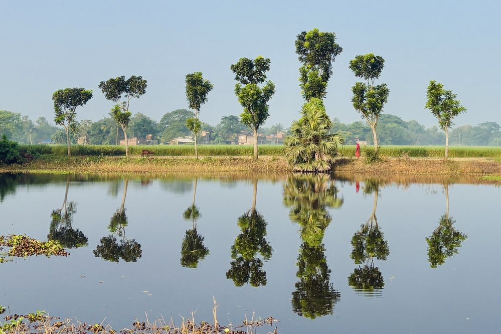 Фотография автора BIPLAB MISRA