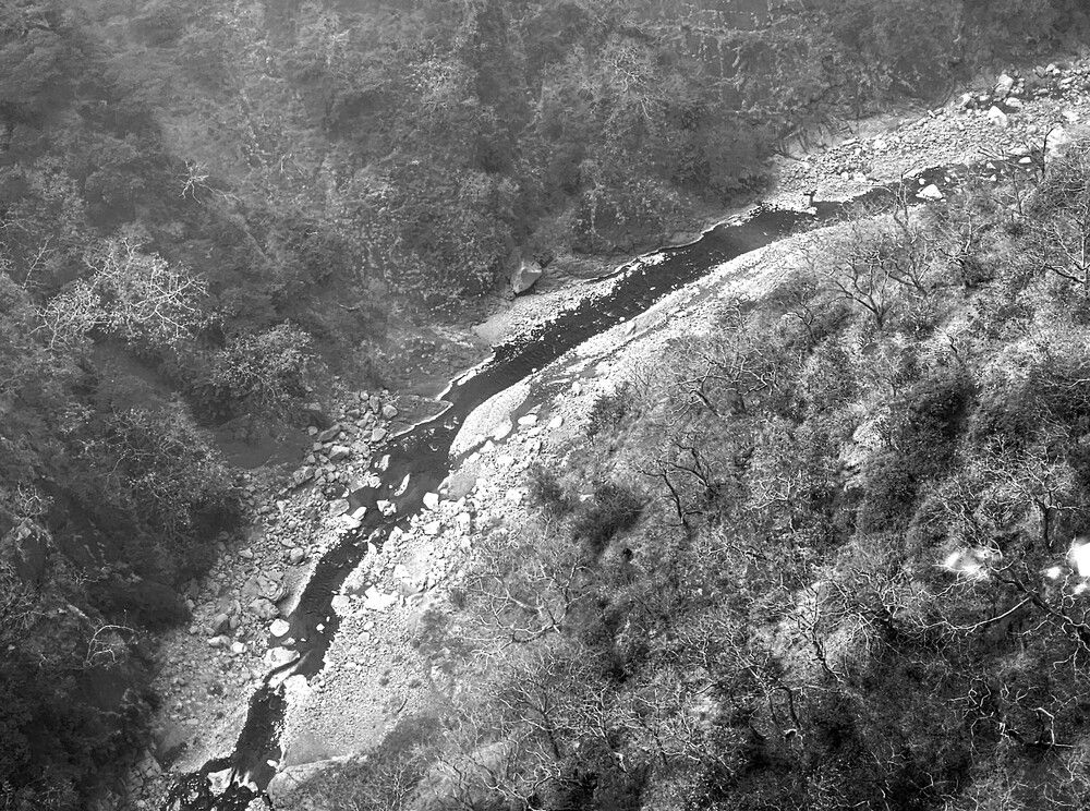 Photograph by G GOVIL