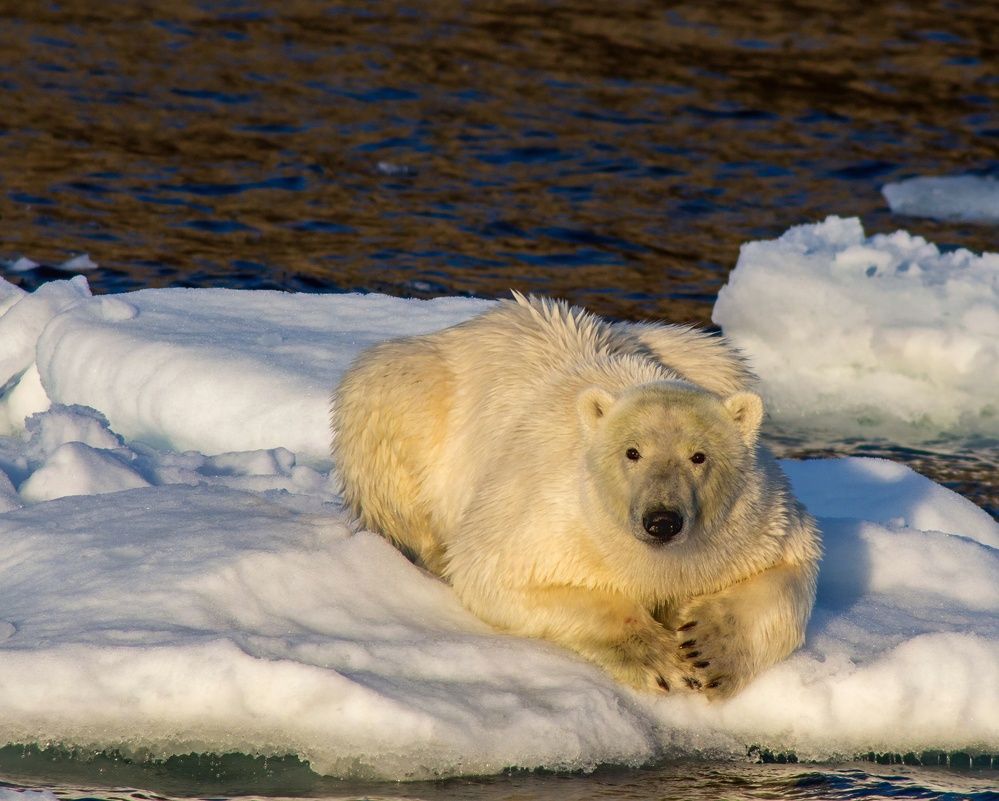 Photograph by Василий Писарев