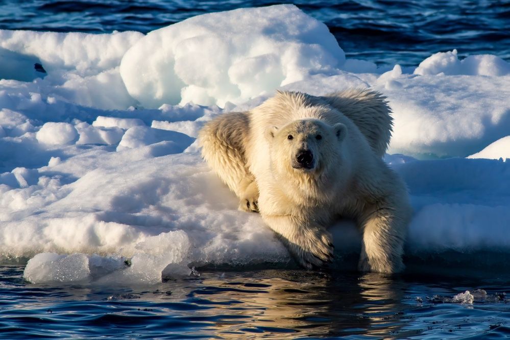 Photograph by Василий Писарев
