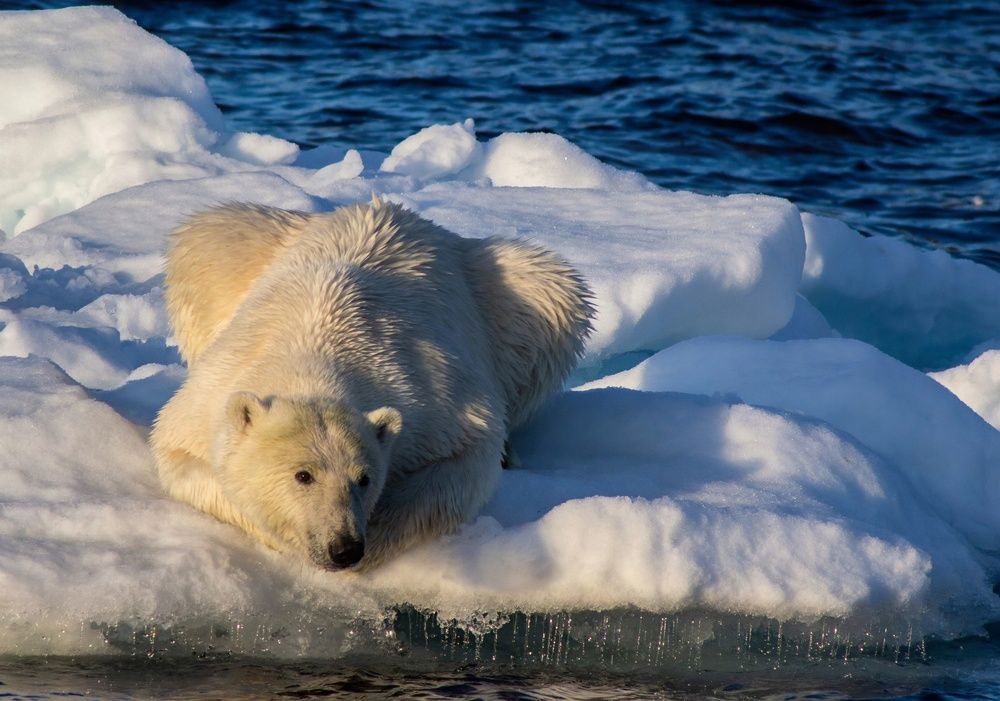 Photograph by Василий Писарев