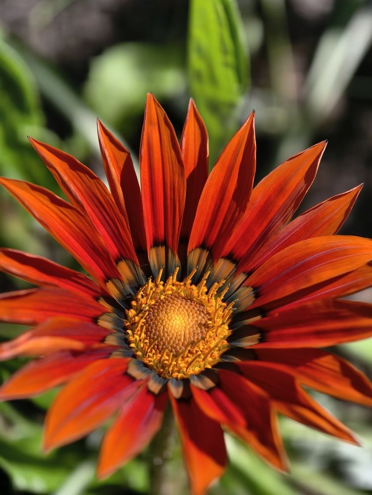 Photograph by Галина Бессуднова