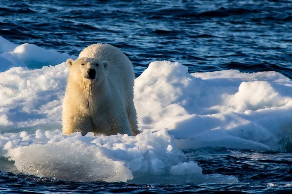 Photograph by Василий Писарев