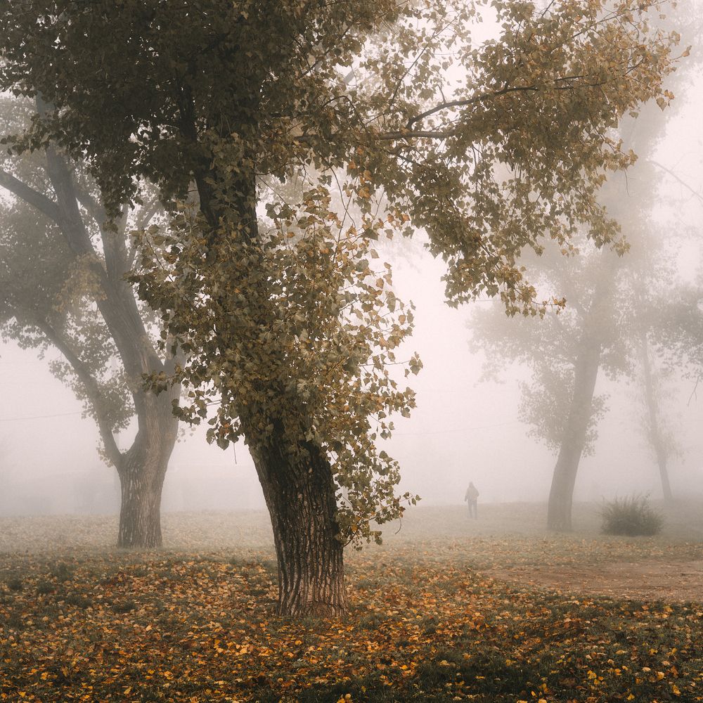 Фотография автора Сухенко Олег