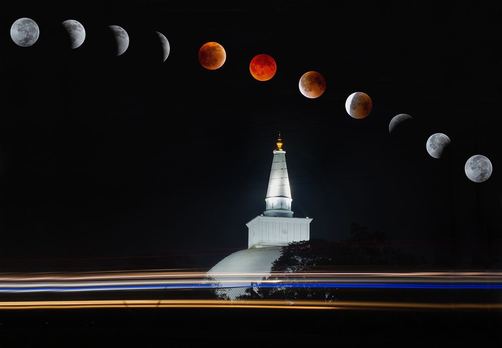 Photograph by  Laddu Sasindu Pramuditha De Silva