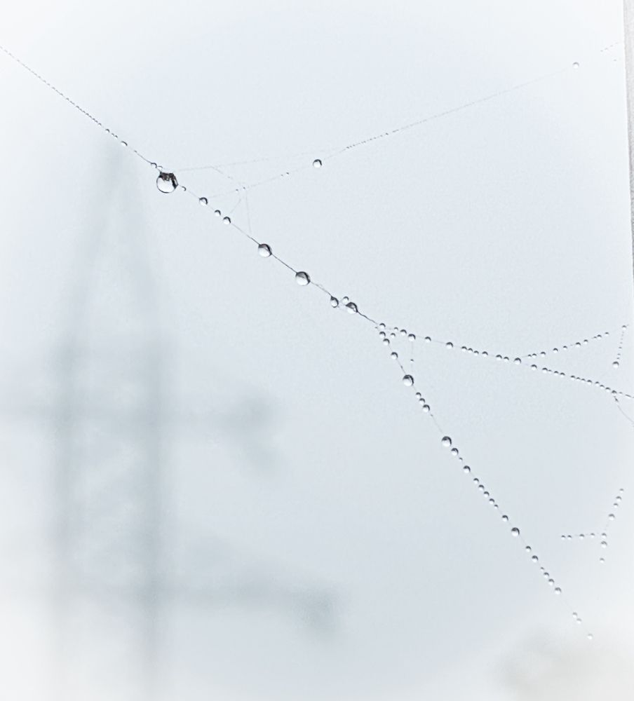 Photograph by Михаил Шевцов