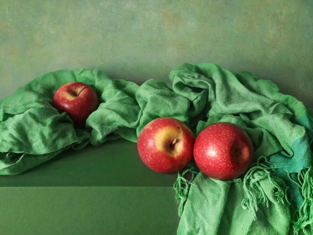 Photograph by Elena Novikova