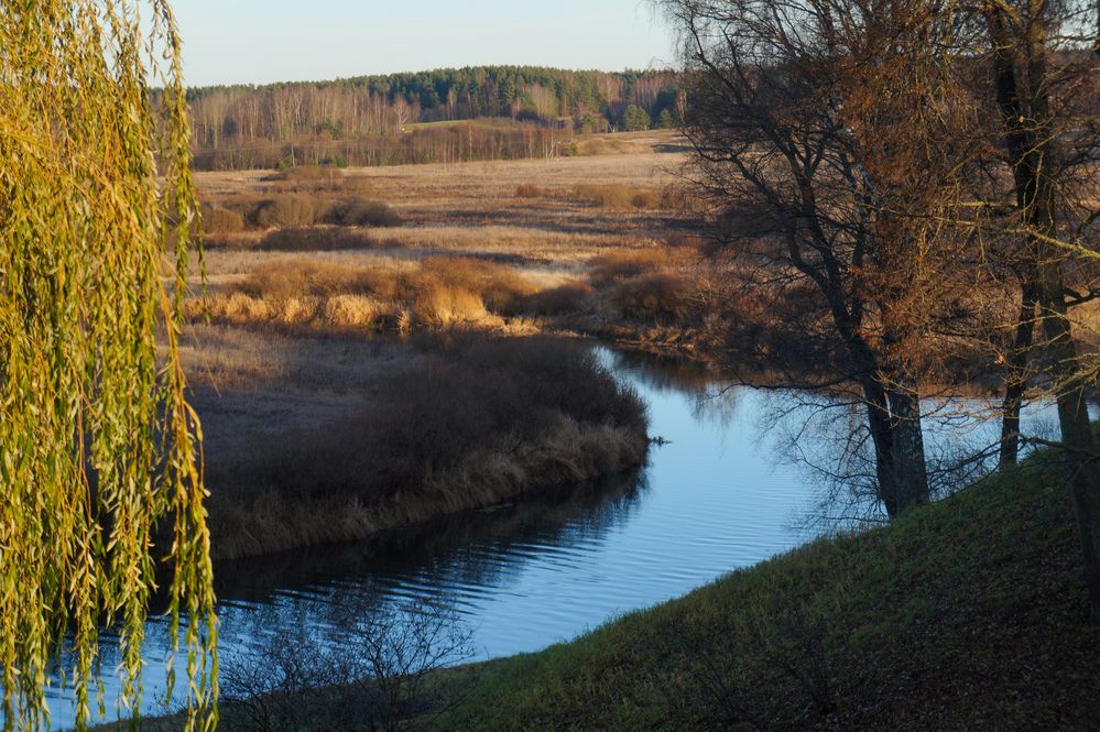 Осень в Пушкинских горах