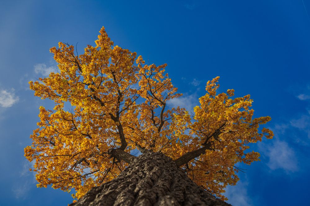 Photograph by Антон Дроздов