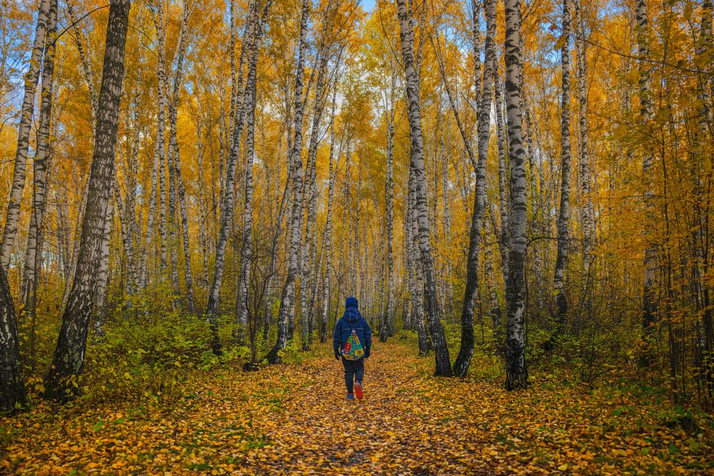 Photograph by Антон Дроздов