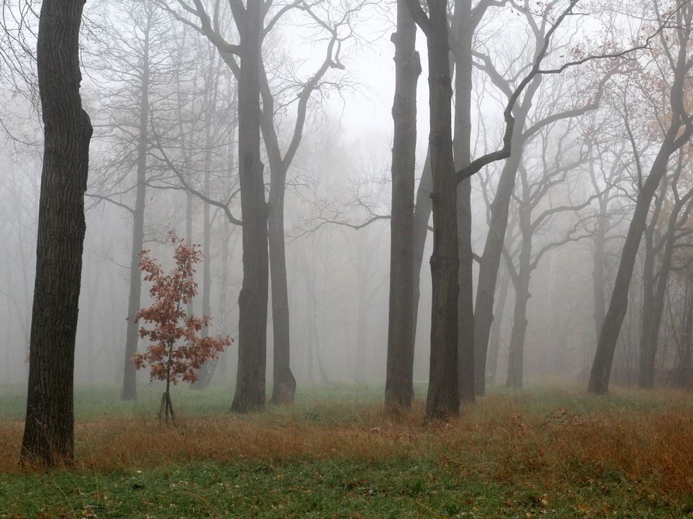 Photograph by Марианна Браун