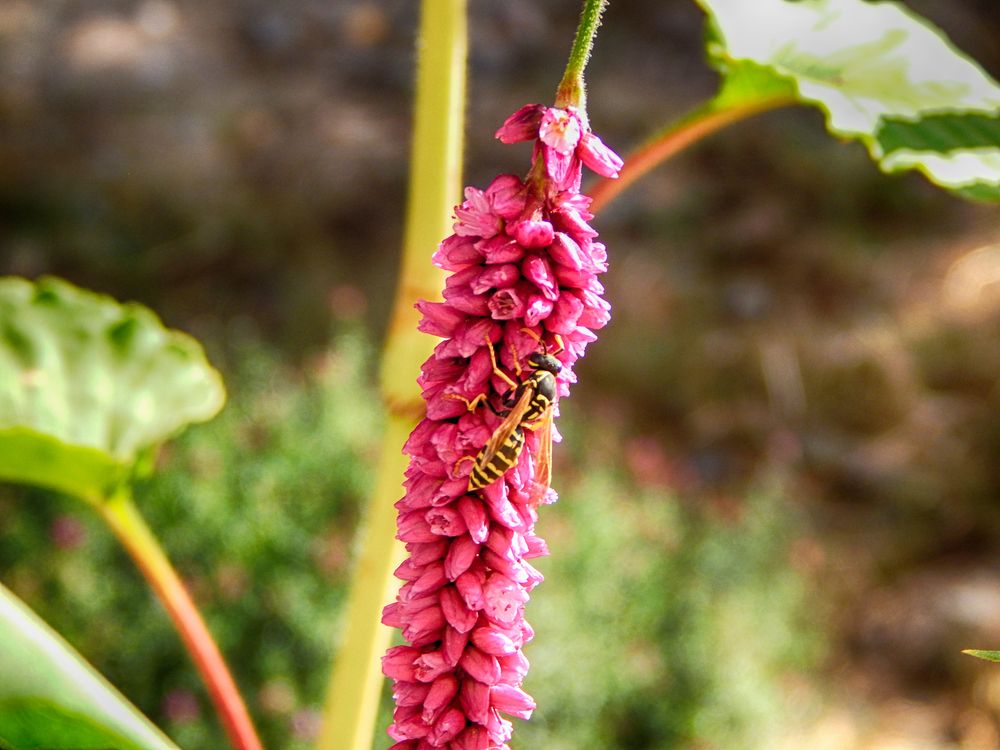 Фотография автора Валерий Цуркан