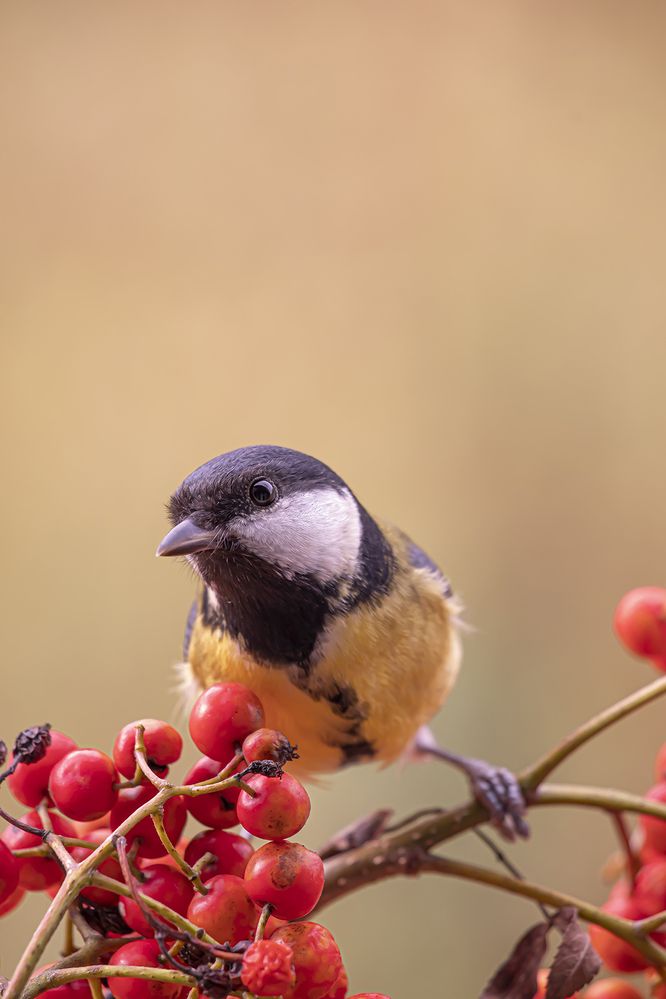 Photograph by Бурикова Екатерина