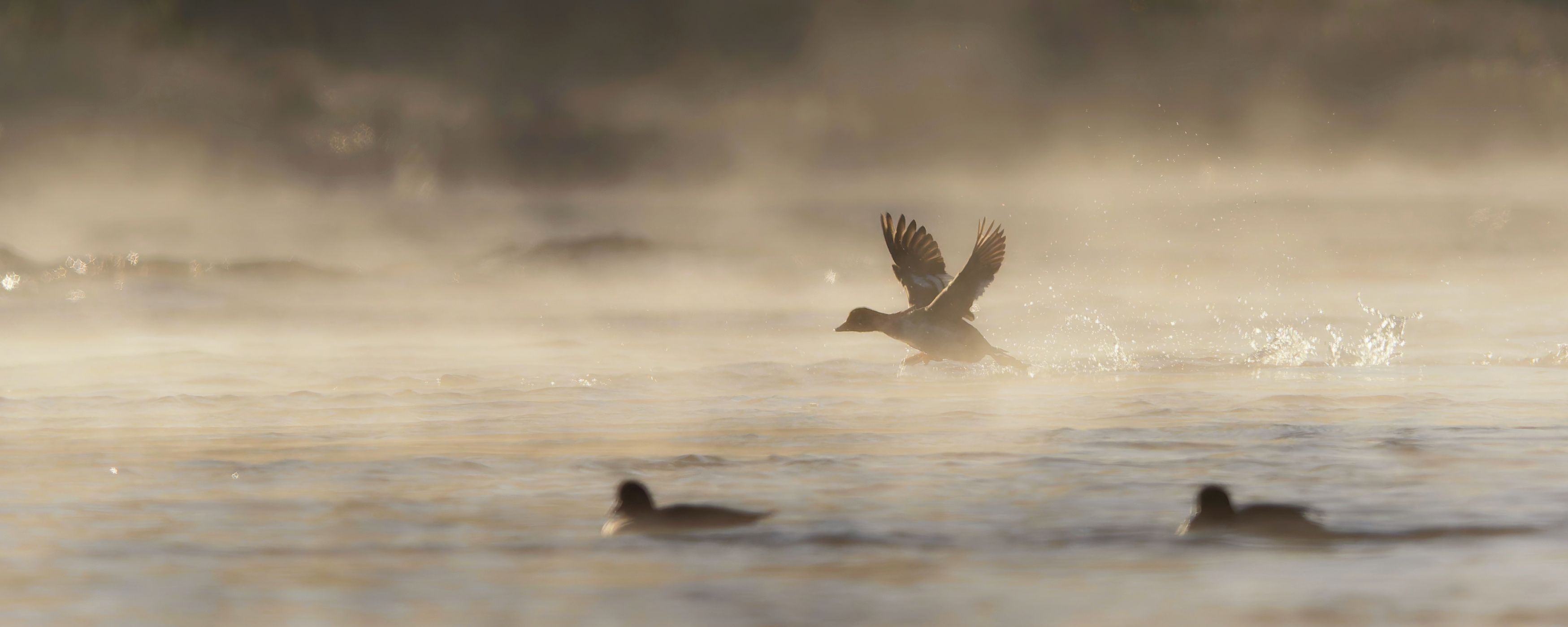Photograph by Jørgen Hovde