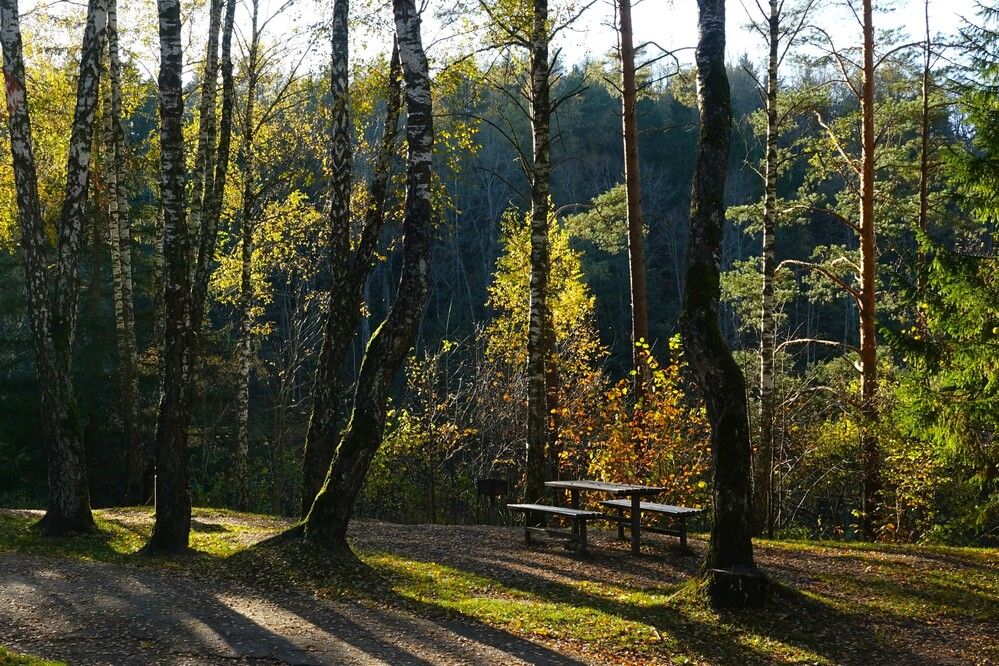 Photograph by jelena konickaja