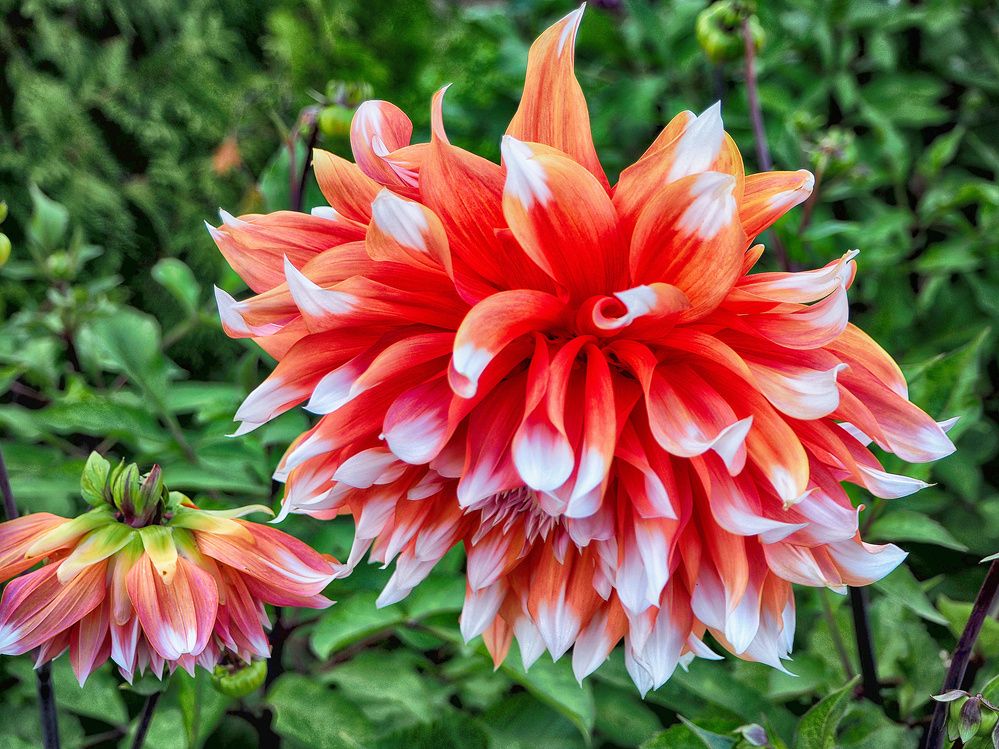 Фотография автора Гоголев Игорь