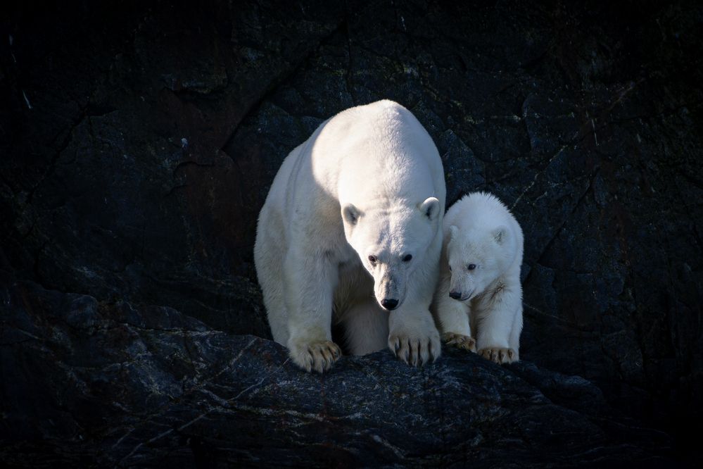 Photograph by Вячеслав Косенков