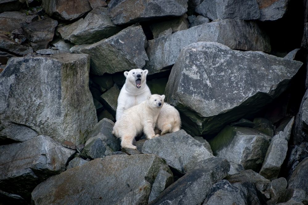 Photograph by Вячеслав Косенков