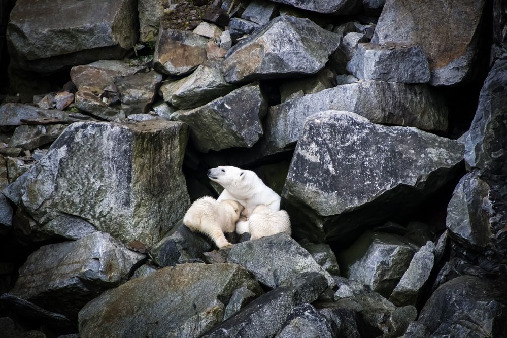 Photograph by Вячеслав Косенков