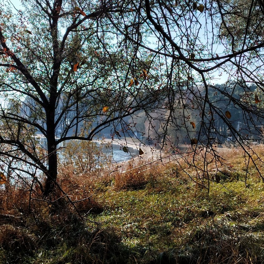 Осеннее солнце