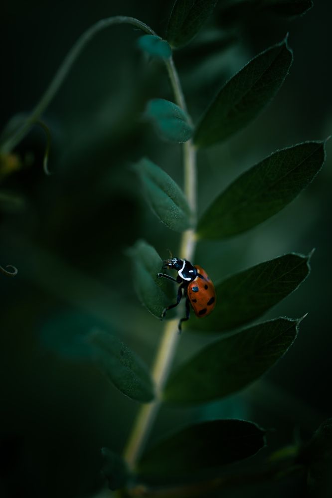 Photograph by Silvina Sánchez