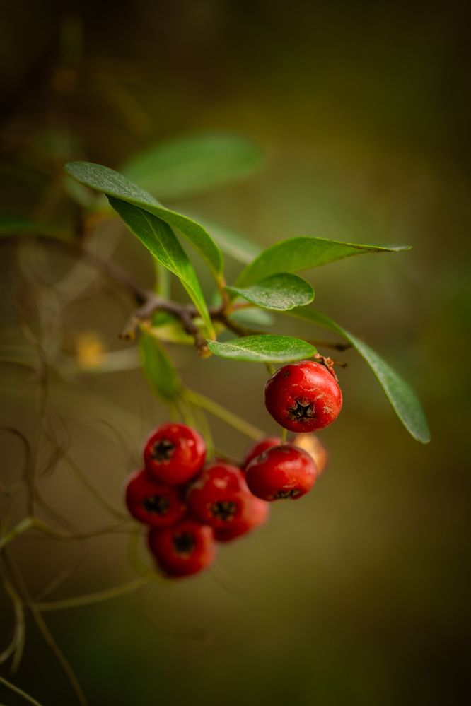 Photograph by Silvina Sánchez