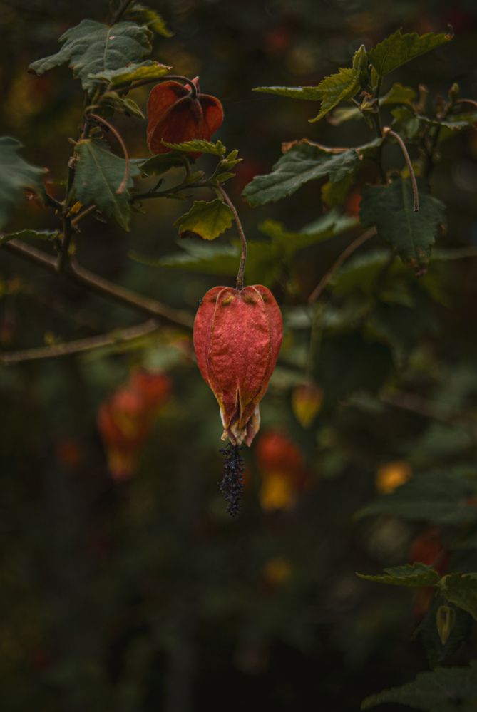 Photograph by Silvina Sánchez