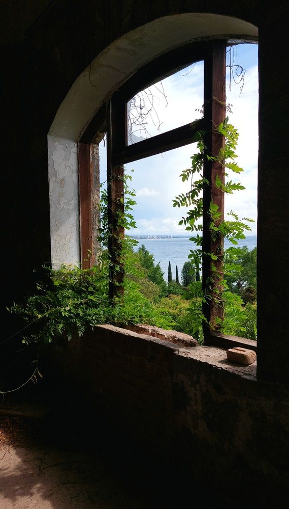 Photograph by Колесов Сергей