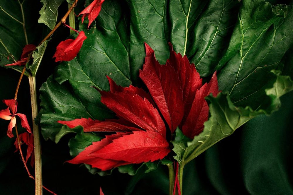 Photograph by Назмутдинова Сауия