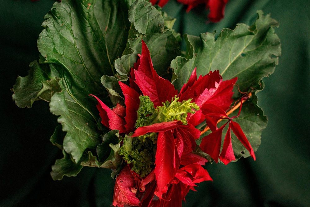 Photograph by Назмутдинова Сауия