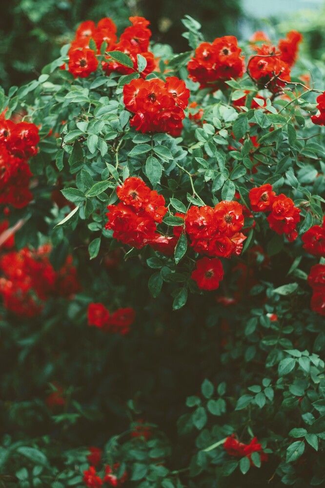 Photograph by Анна Зайченко