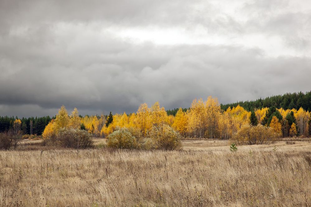 Photograph by Сергей Олюков