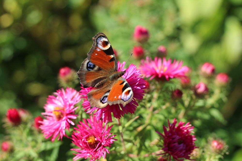 Photograph by Наталья Резванова