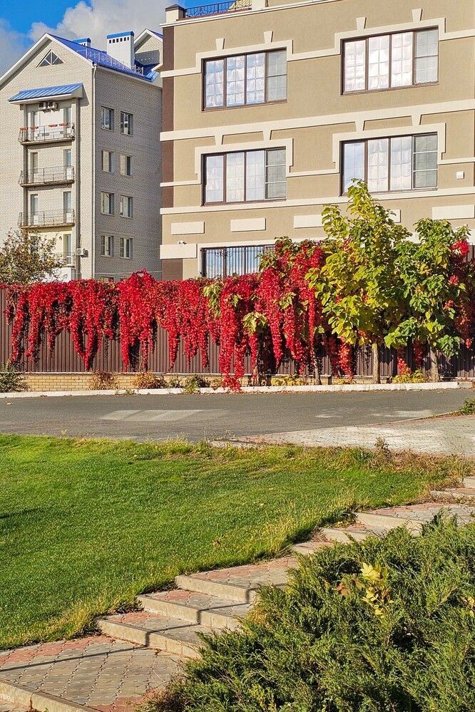 Photograph by Людмила Локтионова