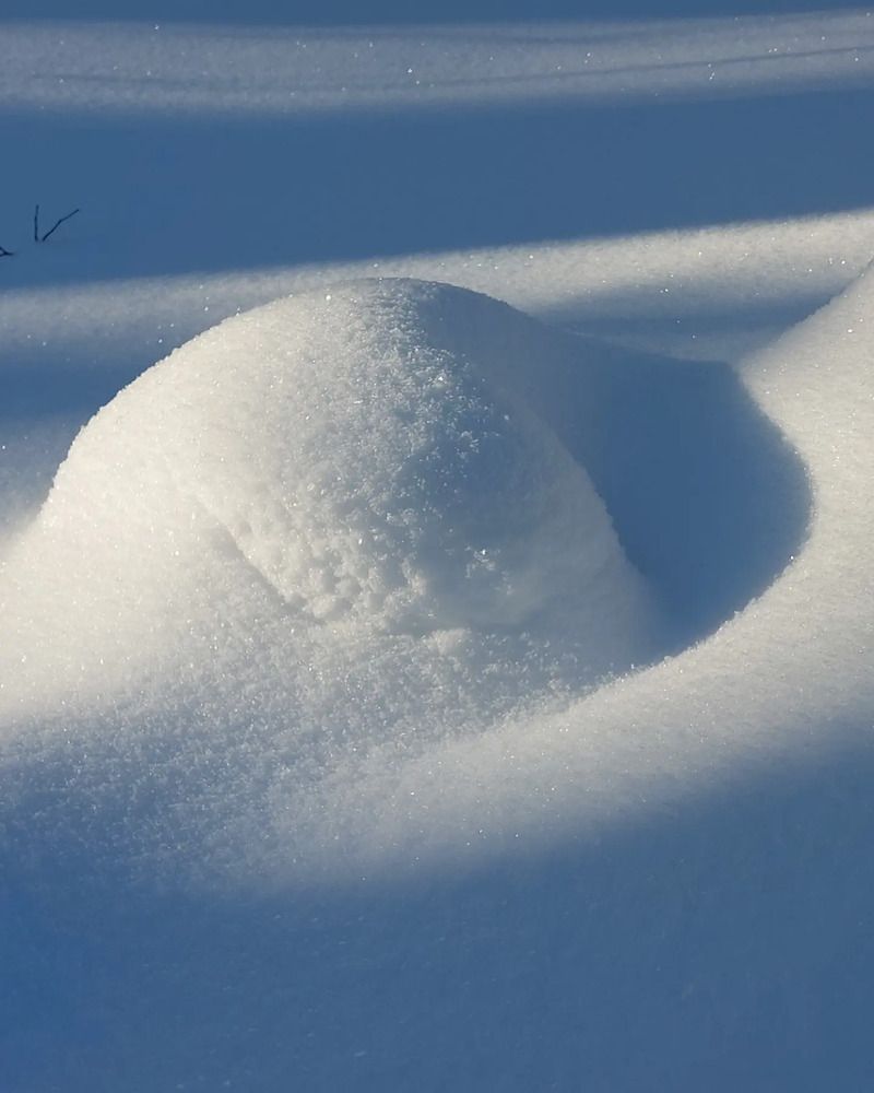 Photograph by Колесов Сергей