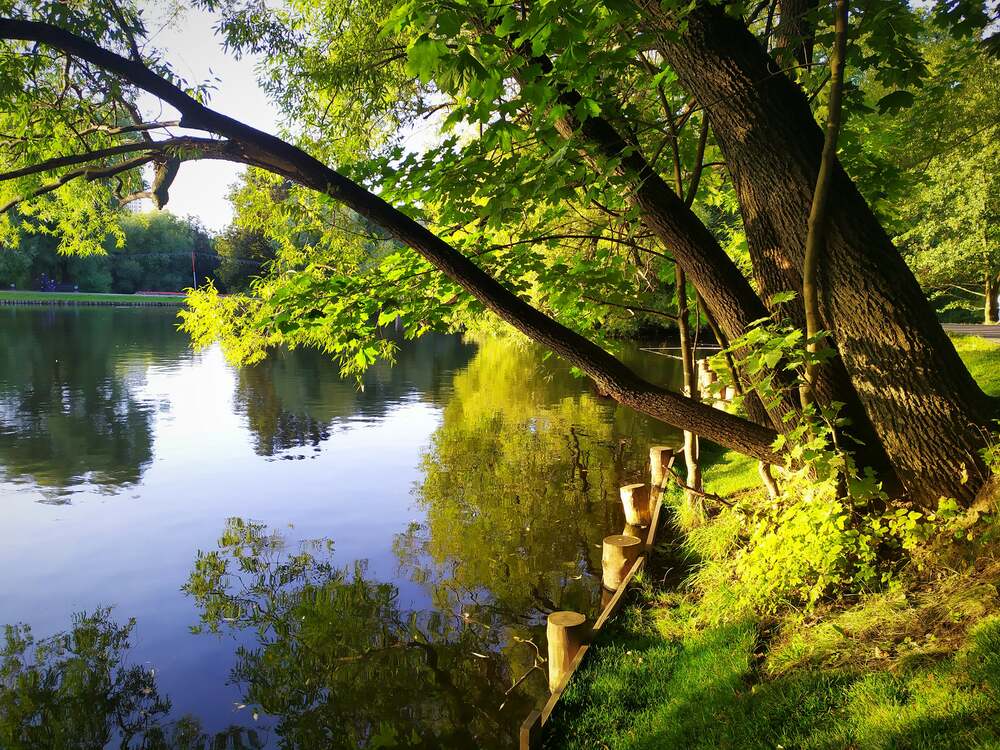 Photograph by Колесов Сергей
