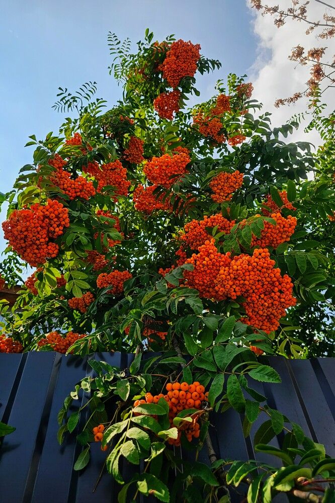 Photograph by Людмила Локтионова