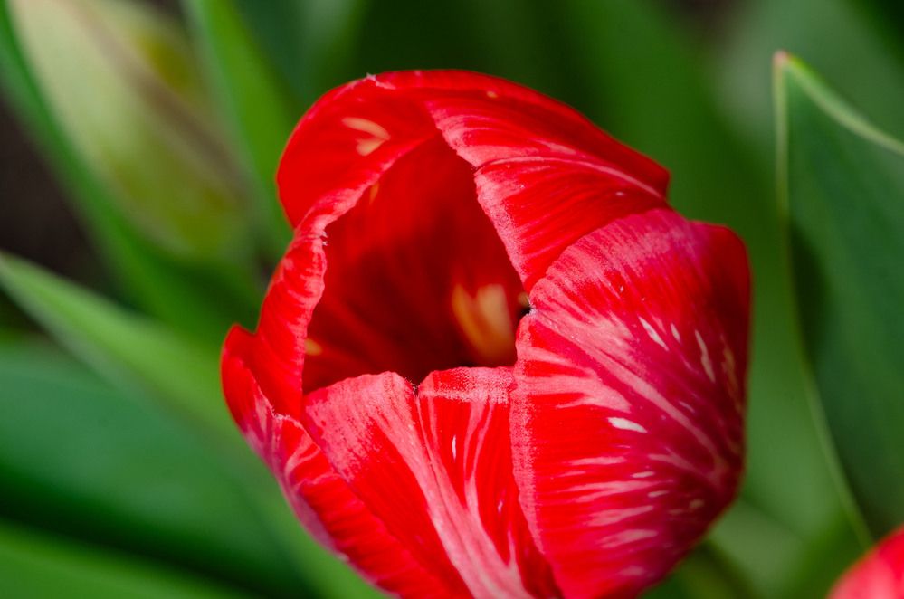 Photograph by Римма Волченко