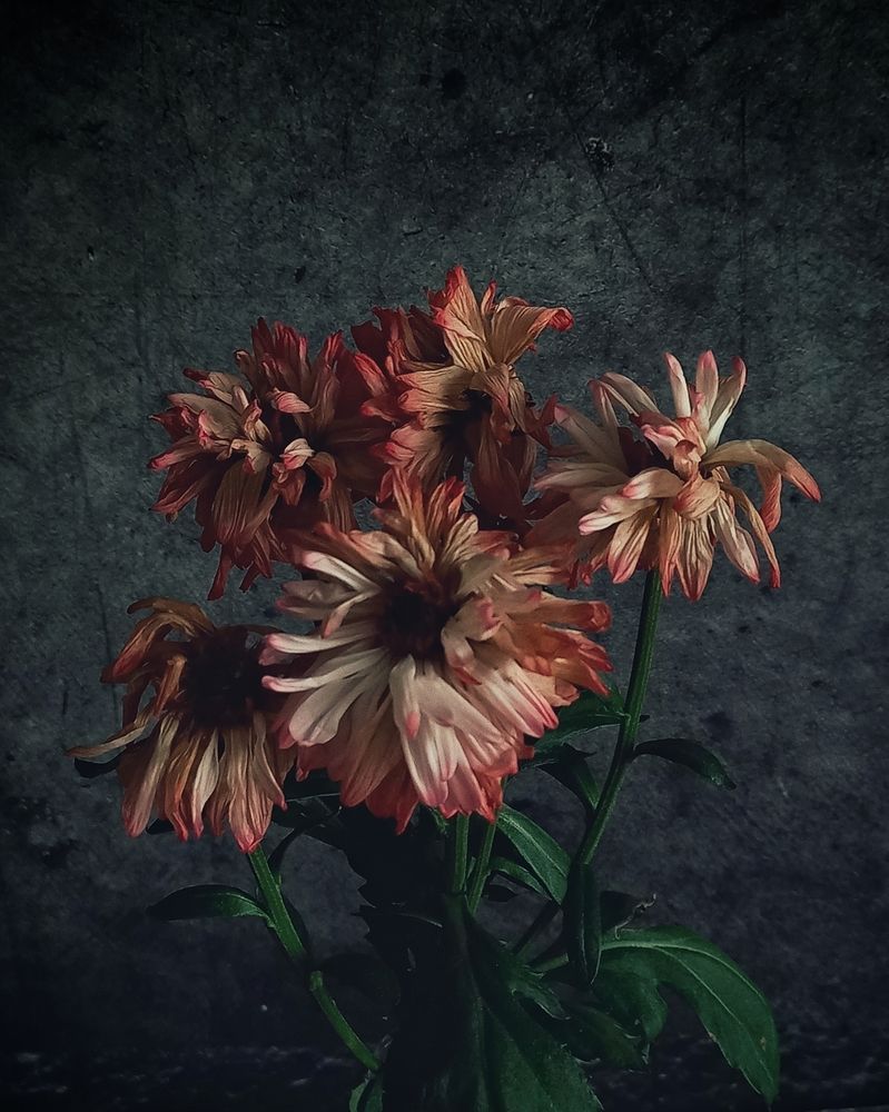 Photograph by Наталья Устюжина