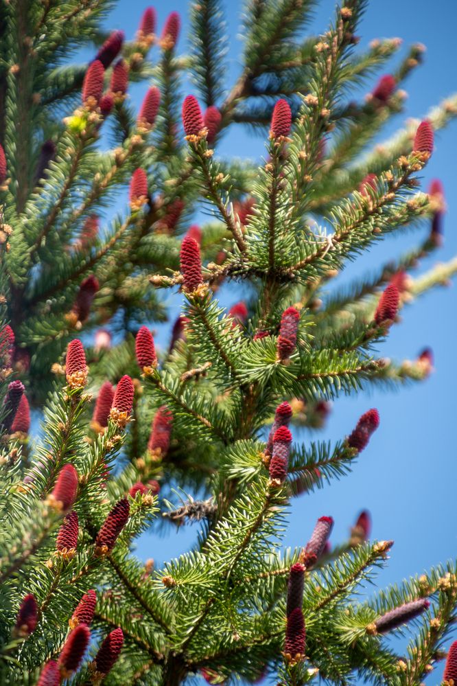 Photograph by Даниил Пузаков