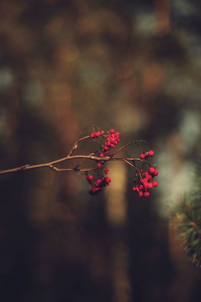 Photograph by Elya Krop