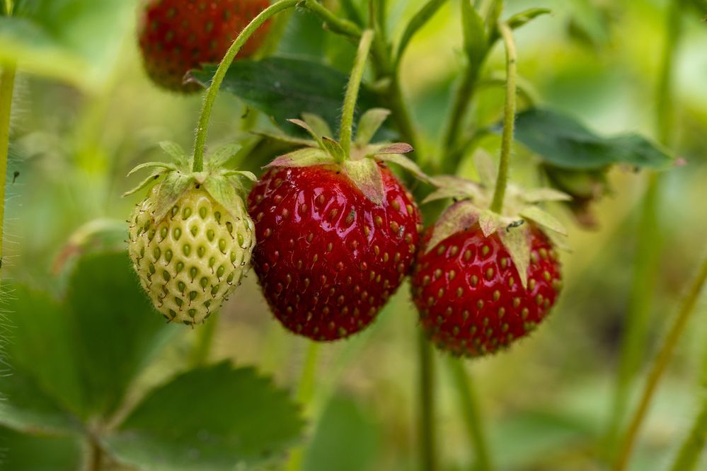 Photograph by Даниил Пузаков